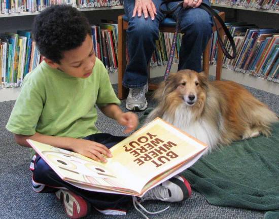Books and dogs: A boys best friends R.E.A.D. DogNikki listens to child reading.