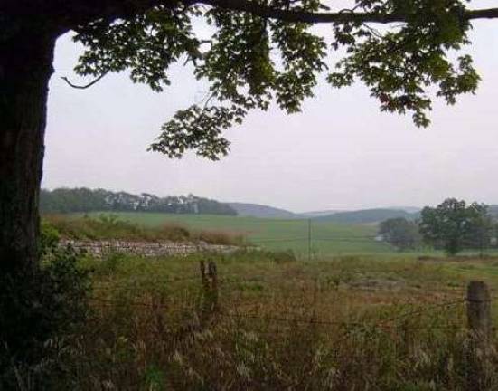 Farm with 290 acres available in Warwick Farm with 290 acres available in Warwick