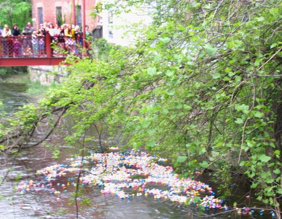 Just ducky, and then some The ducks race towards the Carriage Path Bridge.