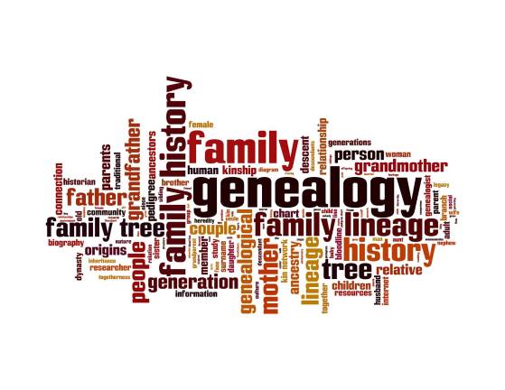 Free family history research databases available through Albert Wisner Public Library Vector illustration The Albert Wisner Public Library is now providing several new tools for doing family history research. All of these are available at the library to everyone; all except Ancestry Library Edition are also available at home.