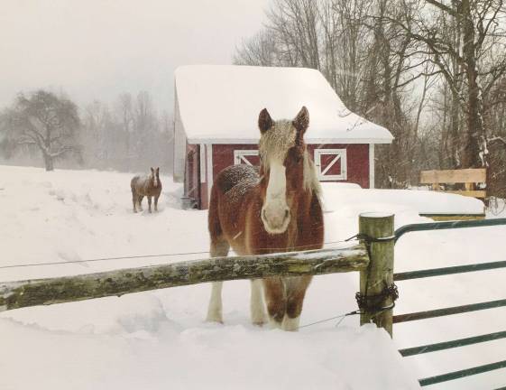 The work of photographer Renelle Lorray will be on display at the GWL Public Library Photo by Renelle Lorray The Greenwood Lake Public Library’s Art Gallery will be showing the works of photographer Renelle Lorray for the month of January.