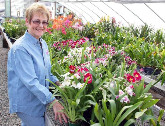 Black Meadow Flora hosts open house for orchid lovers on April 27 and 28 Photo courtesy Black Meadow Flora Black Meadow Flora owner Margaret C. Bridge at her orchid greenhouses in Chester. She will host an open house for orchid lovers on April 27 and 28.