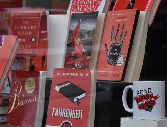 A new generation of indie bookstores – and readers – emerges post-pandemic The window display at Blue Fox Books in Walden, NY.