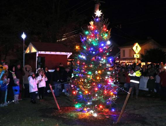 Warwick Fire Department President Melissa Stevens led the crowd in the countdown to the tree lighting.