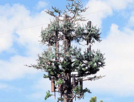 Warwick Valley BOE rejects cell tower proposal This photo illustration shows a cell phone tower under the guise of a tree.