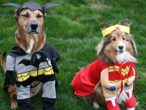 Howl-O-Ween on the Village Green set for Oct. 29 The Warwick Valley Humane Society will host a costume parade for pets on Sunday, Oct. 29, from noon to 2 p.m. There also will be a costume and best trick contests.