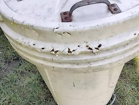 The bare bones about bear encounters A “bear-proof” garbage can in Vernon, NJ.