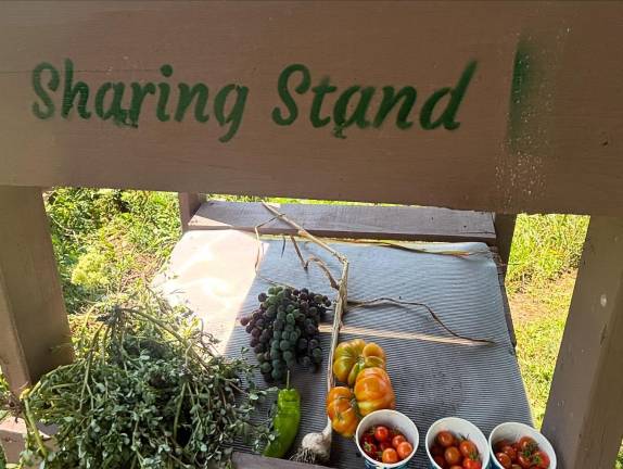 Local green thumbs harvest top honors The new sharing stand for surplus produce at Common Ground Community Garden.