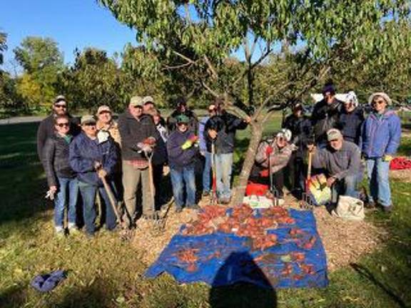 Warwick’s community garden celebrates its 15th growing season this year.