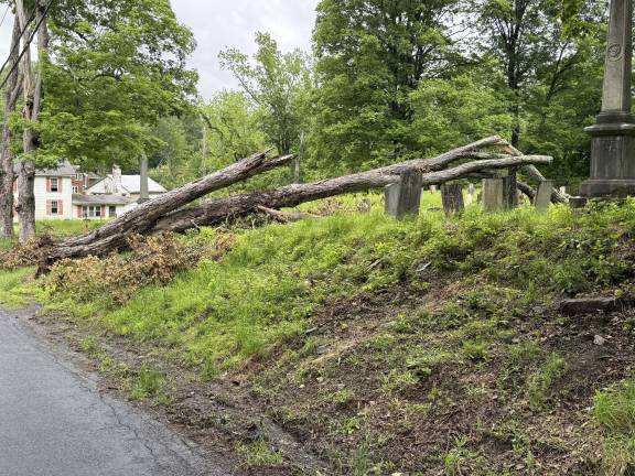 Four inches of rain cause widespread damage throughout the Warwick Valley When grounds are soaked so thoroughly by additional rainfall, the roots of certain trees have nothing to anchor them any more and many simply topple over, like the ancient tree that fell into the historic Amity Church’s cemetery at the corner of Newport Bridge Road and Amity Road. Photo by Peter Hall Lyons.