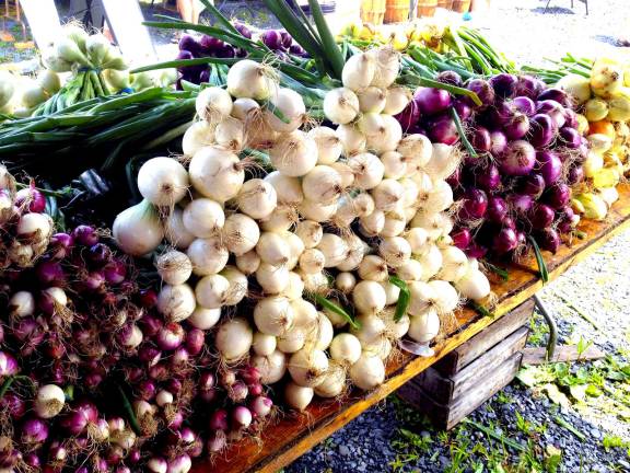 Florida NY Farmers’ Market opens June 14 The Florida NY Farmers' Market will open Tuesday, June 14, with new hours, 10 a.m. to 4 p.m.