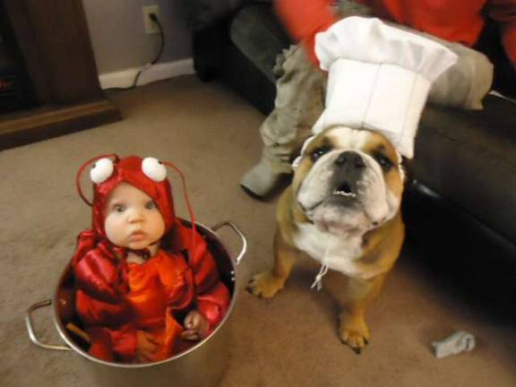 Pampered pets Submitted by Steve Ryder of West Milford, N.J. "Brandon (Lobster) is being prepared by master chef Rambo."