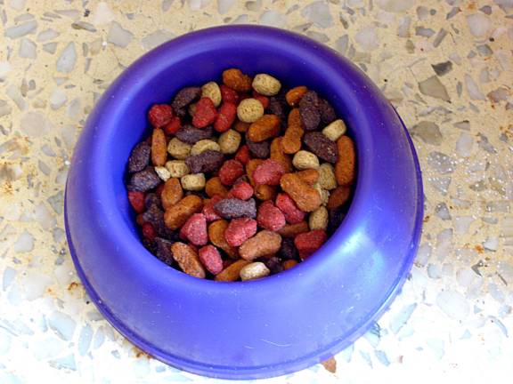 100 years of commercial pet food, yet pets are sicker than ever before 100 years of commercial pet food, yet pets are sicker than ever before