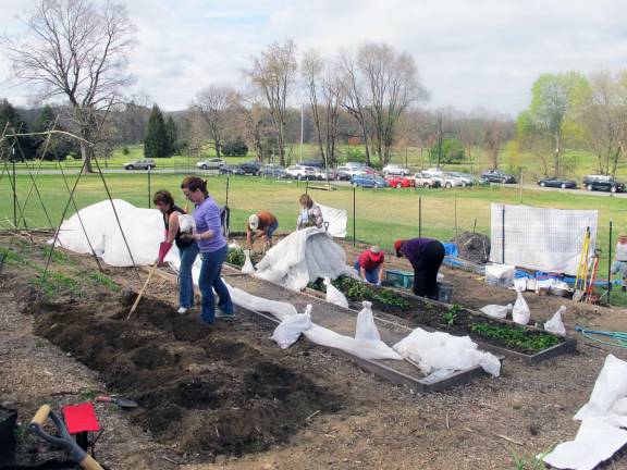 It takes a village to grow a garden Blessed with good weather, members of the Warwick Community Garden spent last weekend prepping the beds fo the group's third season. The garden that is situated right behind the Warwick Community Center.