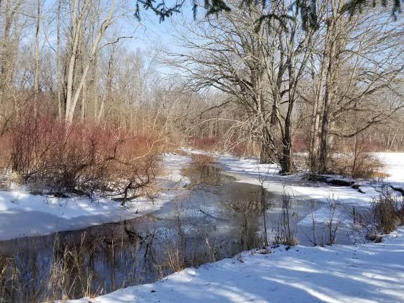 The color of snow Kate Valentine shared this photograph she took when she was taking a walk through Memorial Park off of Forrester Avenue in Warwick after Winter Storm Riley.