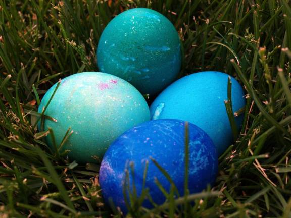 Village of Warwick will hold its Easter Egg Hunt on March 31 The Easter Egg Hunt sponsored by the Village of Warwick Recreation and the Warwick Fire Department will take place Saturday, March 31, at Veterans Memorial Park beginning at 10 a.m.