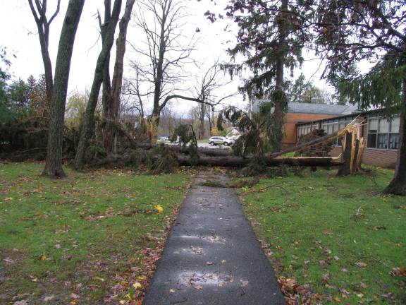 Hurrican Sandy rips through Orange County St. Stephens Church/School property, where 15 hemlock trees came down in the wind.