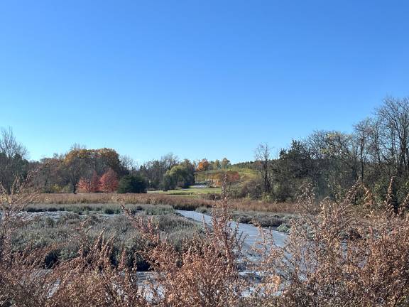 Area property marked for permanent preservation Tice-Shepard or Purple Path Lavender Farm at 147 Jessup Road in the Town of Warwick.