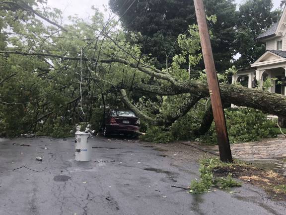 UPDATE: Power back on in Warwick Photo courtesy of Larry Miri Tree down on Third Street in the Village of Warwick