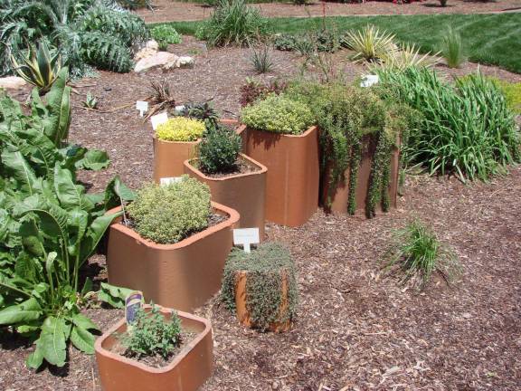 Arboretum hosting classes, Arbor Day program Arboretum hosting classes, Arbor Day program