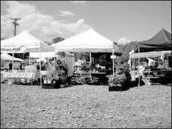 Farmers' market promotes cooking with cabbage Farmers' market promotes cooking with cabbage