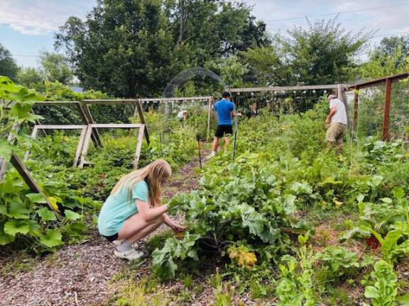 Kitchen Garden Tour returns Sunday, Aug. 3 Common Ground Community Garden is one of 15 local food gardens on this year’s Kitchen Garden Tour