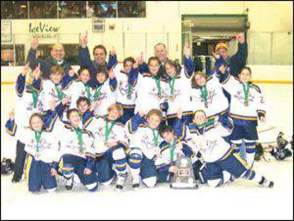 Polar Bears are the Silver Stick Hockey champions Polar Bears are the Silver Stick Hockey champions