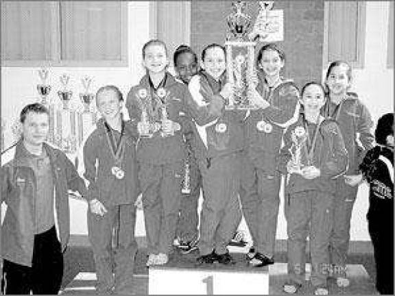 Gymnastic team finishes second Gymnastic team finishes second