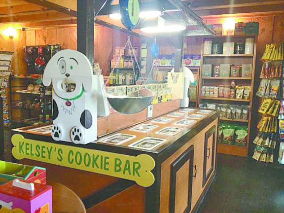 Gifts for pets Gifts for pets