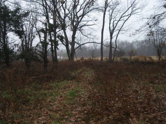 187 acres preserved along trail A view of the meadows and woodlands seen from the Heritage Trail in Chester, part of a 187-acre property the Land Trust recently acquired and will protect as a nature preserve with trails, educational signage and a trailside kiosk accessible from the recreational path.