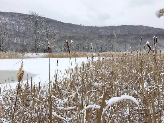 Join a field trip to the Wallkill River Wildlife Refuge Wallkill River National Wildlife Refuge