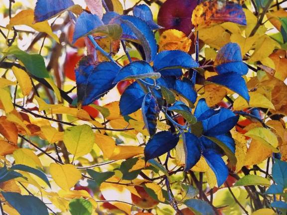 An example of a work by Renelle Lorray featured in the exhibit “Fall-ing for You: Through Local Parks, Parking Lots and Backroads.”