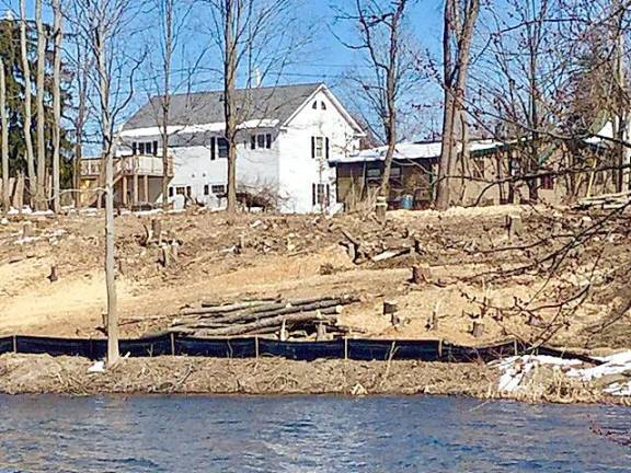 Clear-cutting for the Broccoli Patch distillery at Creamery Pond