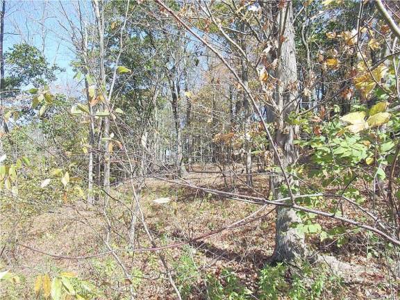 Start living your dream now on this 2.8-acre lot