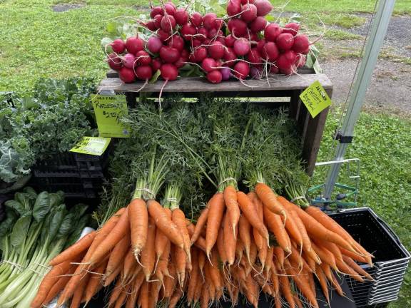 Carrots and radishes.
