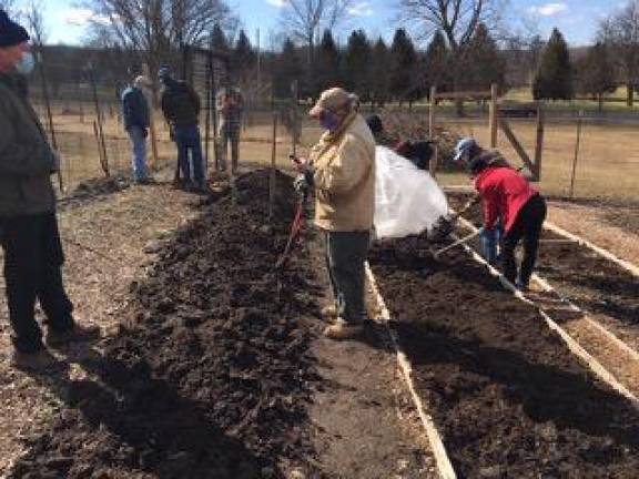 Local gardeners prep the ground for planting.