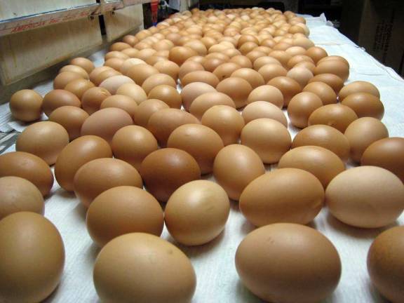 The Warwick Winter Farmers’ Market re-opens for the winter season on Dec. 2 Among the items at the Warwick Winter Farmers' Market will be dairy, including eggs, milk, cheese and yogurt.