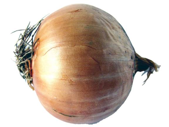 Pine Island hosts its sixth annual onion-eating contest on Aug. 18 Pine Island hosts its sixth annual onion-eating contest on Aug. 18