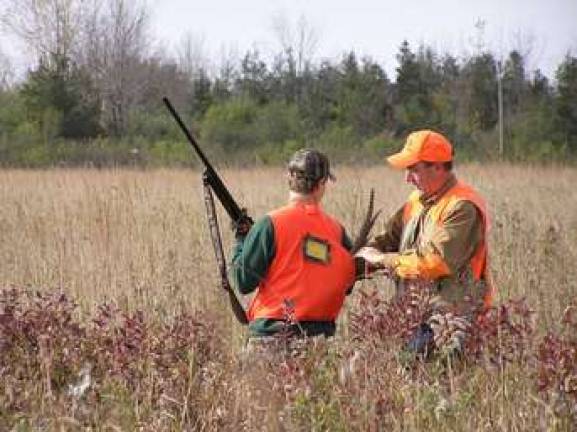 State releases pheasants for hunting season Photo: NYS Department of Environmental Conservation