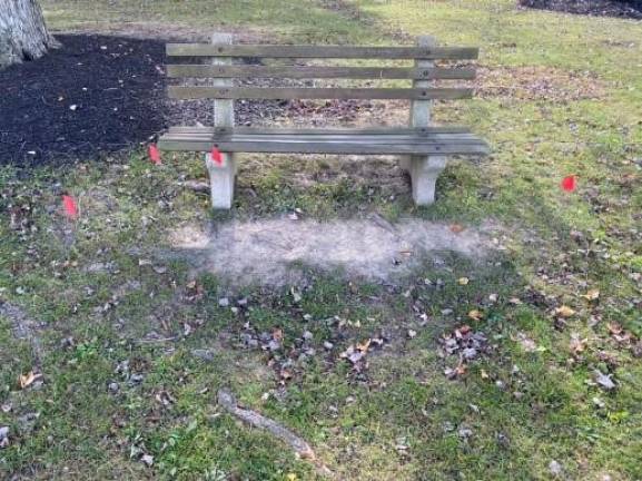 Students flagged cigarette butts at Thomas Bull Memorial Park