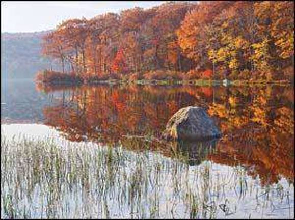 Sugar Loaf photographer Nick Zungoli to host master class at SUNY Orange on Nov. 15 Sugar Loaf photographer Nick Zungoli to host master class at SUNY Orange on Nov. 15