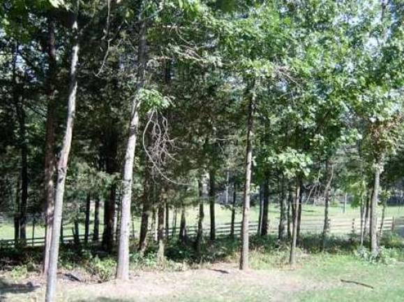 Farm with 290 acres available in Warwick Farm with 290 acres available in Warwick