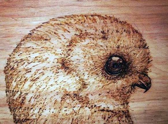 GWL Public Library’s Art Gallery presents the work of Jennifer Leonard for the month of April The Greenwood Lake Public Library will feature the work of artist Jennifer Leonard for the month of April. Her current medium is wood burning (pyrogrophy).