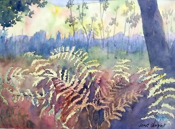 Middletown. Bathe your senses in a display of watercolor art at SUNY Orange Tall Ferns by Janet Campbell