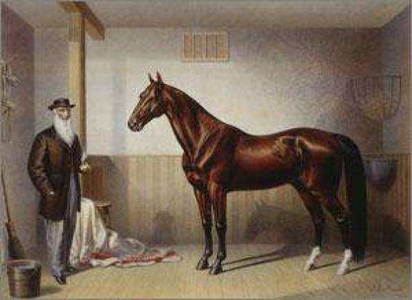Currier & Ives goes to Washington Currier & Ives goes to Washington