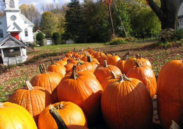 Warwick in autumn Photo by Roger Gavan Scheuermann Farms and Greenhouses in Pine Island.