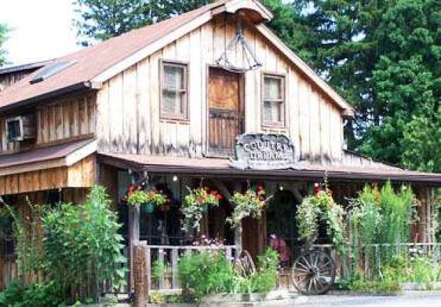 PI chamber holiday mixer is Dec. 11 The Pine Island Chamber of Commerce will host its annual holiday mixer on Tuesday, Dec. 11, at The Country Dream restaurant in the hamlet of Edenville.