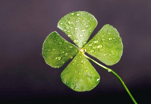 The Mid-Hudson St. Patrick’s Day Parade will march through Greenwood Lake on Sunday, Sept. 19, marking “halfway to St. Patrick’s Day.” Photo illustration.