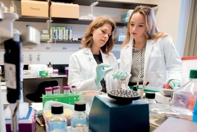 Against the grain Research assistant professor Erin Norris (left) and graduate student Anna Amelianchik at work in Sidney Strickland’s lab. Photo by Mario Morgado