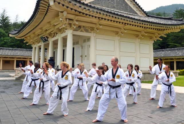 Chosun Taekwondo Academy students train in Korea Chosun Taekwondo Academy students, led by Master Doug Cook (foreground), train against the backdrop of Tong-Il Jeon Shrine located in Kyongju, South Korea. Cook and 20 students visited the homeland of taekwondo in July.